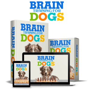 brain training for dogs adrienne farricelli